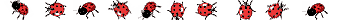 Ladybirds