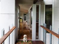 This house in Glen Osmond, South Australia, uses structural formwork in profile LYSAGHT BONDEK® and roofing and walling cladding made from ZINCALUME® steel. Photograph:  Paul Bradshaw