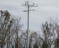 Essential Energy using SURELINE&reg; power poles across its network to help strengthen reliability.