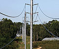 SURELINE&reg; steel power poles were used at BHP Billiton Illawarra Coal's Appin mine because of short delivery times which enabled the project to remain on schedule for completion.