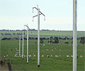 Horizon Power is working toward upgrading 20 kilometres of its electricity network along the South Coast Highway, 70 kilometres west of Esperance using SURELINE&reg; poles