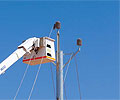 Completion of a 92 kilometre line to deliver 33kV power to Uranium One&rsquo;s Honeymoon Mine site Using SURELINE&reg; poles