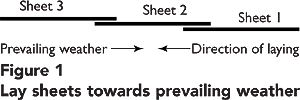 Laying Direction
