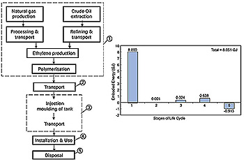 Stages of Life Cycle Chart